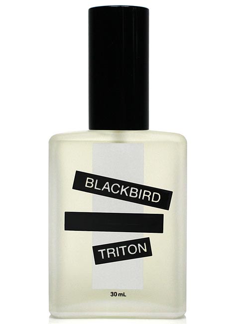 Triton Blackbird — аромат