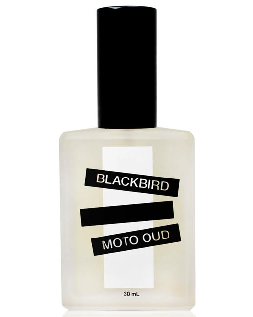 Moto Oud Blackbird