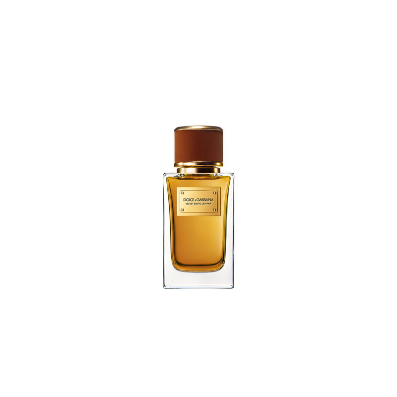 Velvet Exotic Leather Dolce&Gabbana — аромат