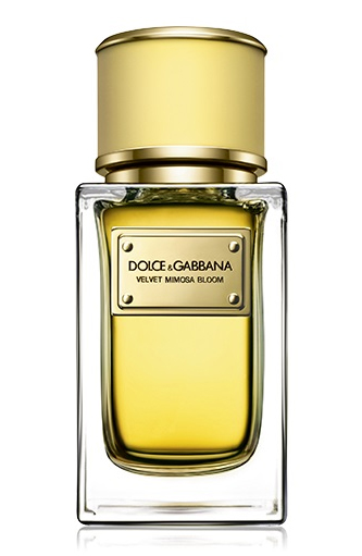 Velvet Mimosa Bloom Dolce&Gabbana — аромат