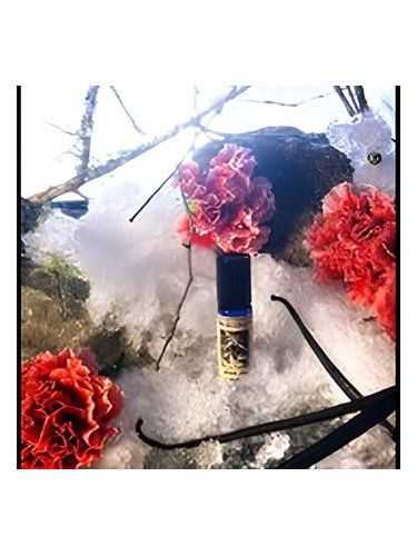 Winter Dove Solstice Scents — аромат