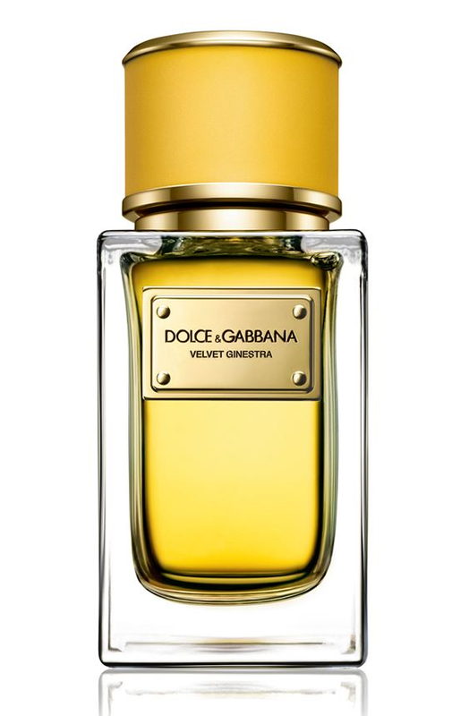 Velvet Ginestra Dolce&Gabbana — аромат