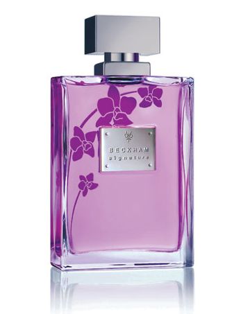 Signature for Her David Beckham — аромат