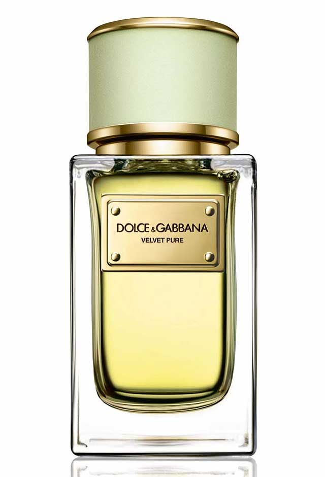 Velvet Pure Dolce&Gabbana — аромат