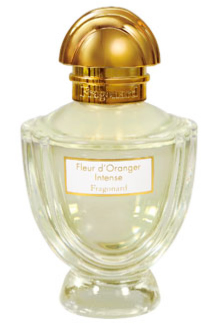 Fleur D'oranger Intense Fragonard — аромат