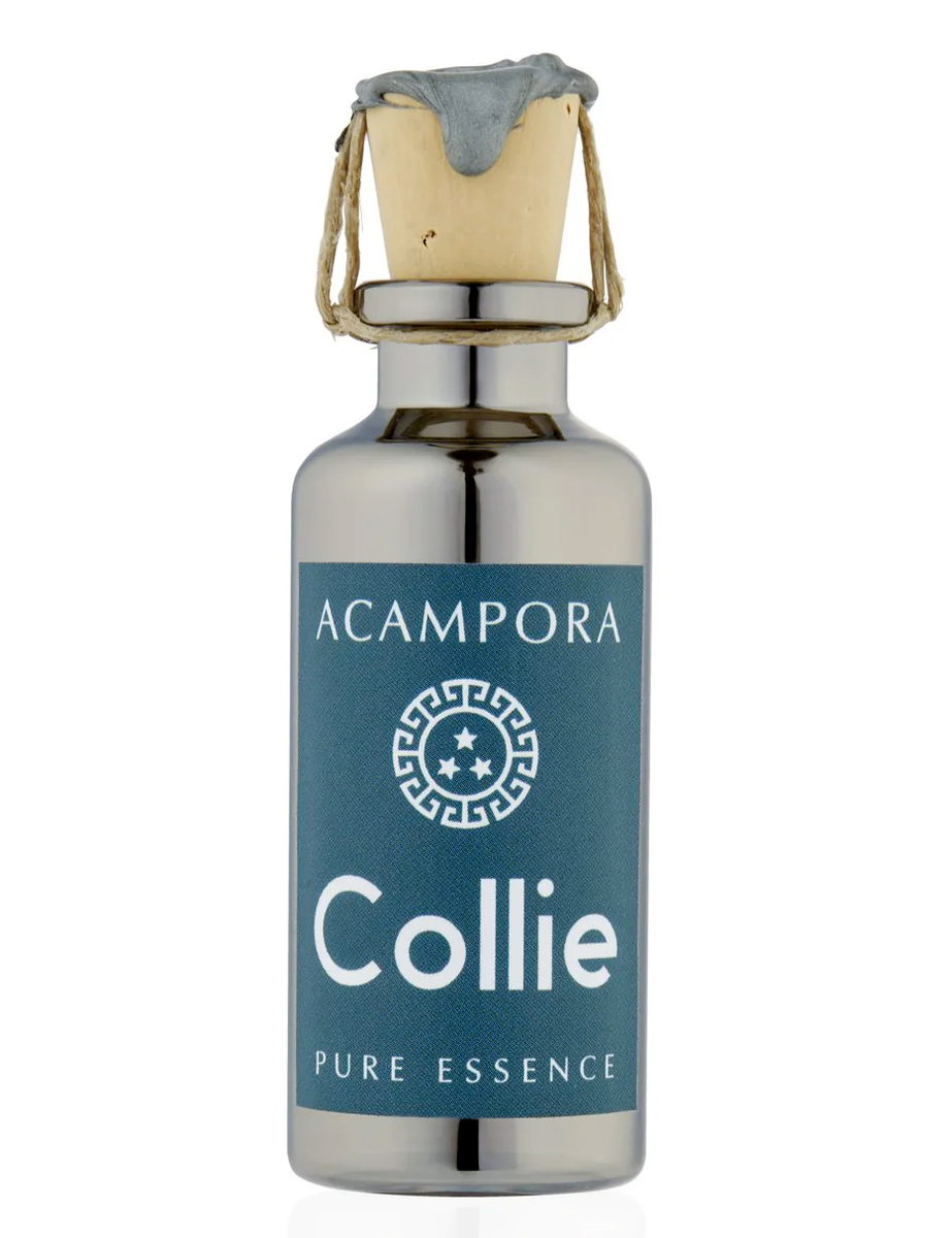 Collie – Pure Essence Bruno Acampora — аромат