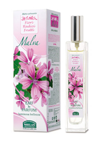 Malva Helan — аромат