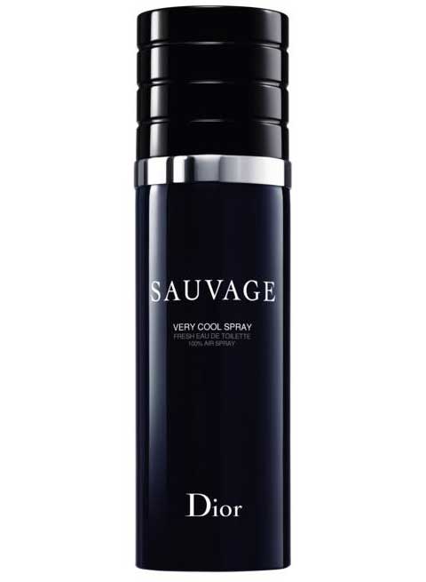Sauvage Very Cool Spray Dior — аромат