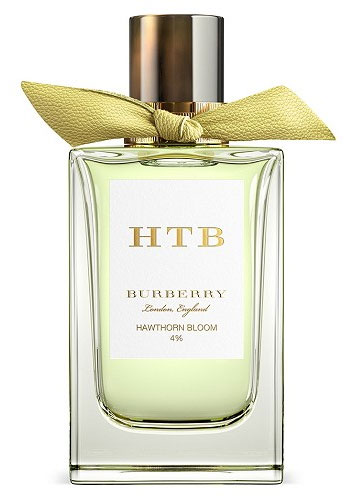 Hawthorn Bloom Burberry — аромат