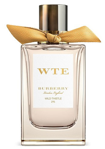 Wild Thistle Burberry — аромат