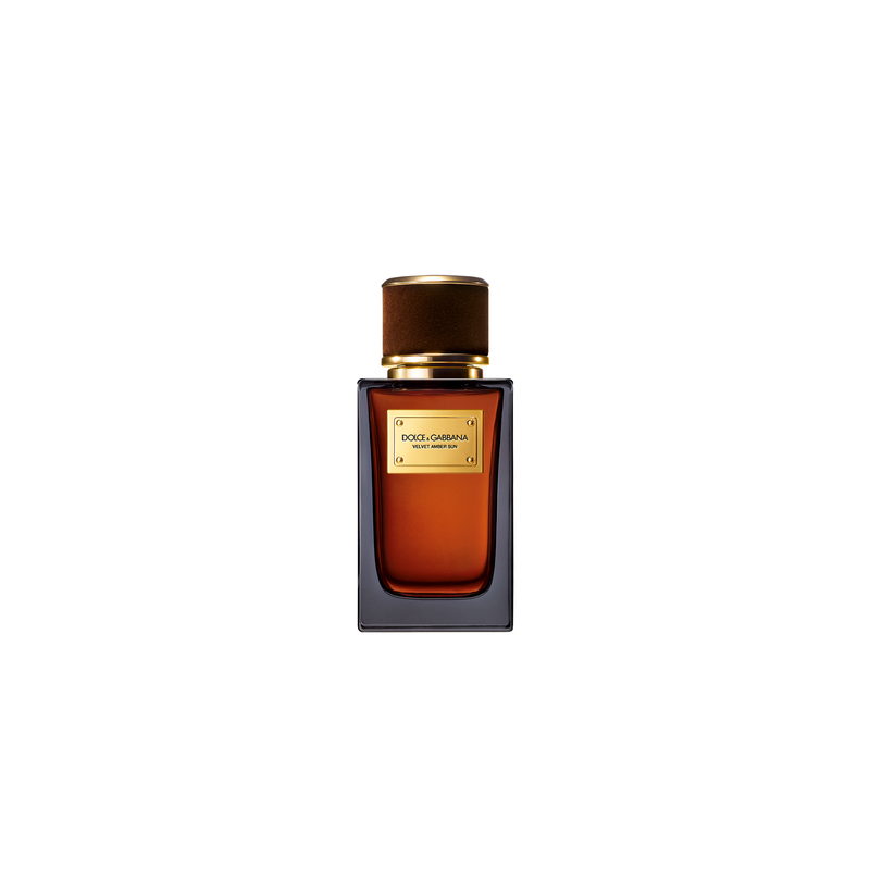 Velvet Amber Sun Dolce&Gabbana — аромат