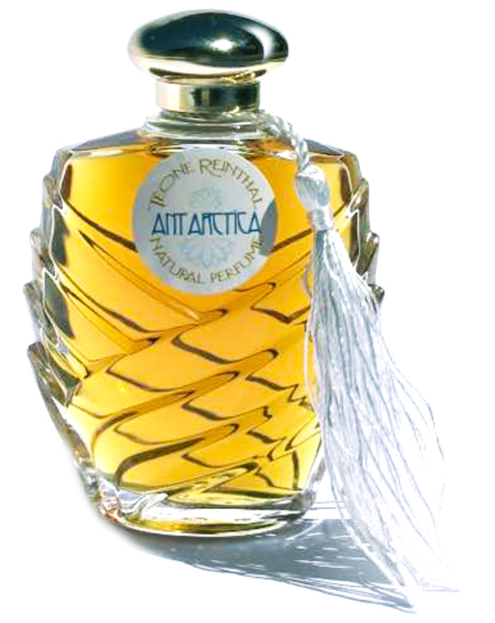 Antarctica TRNP — аромат