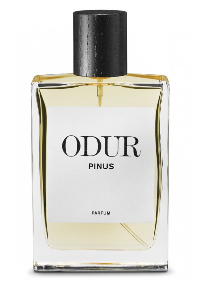 Pinus ODUR — аромат