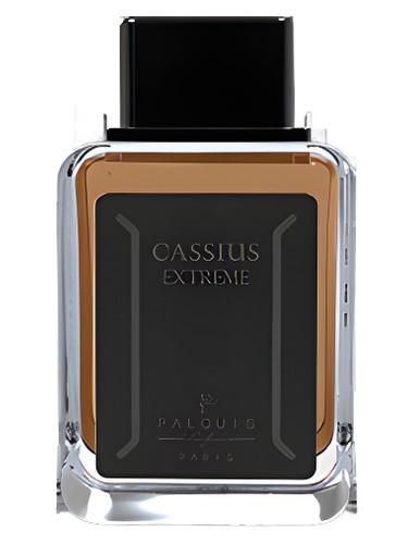 Cassius Extreme Palquis — аромат