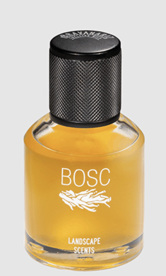 Bosc Bravanariz — аромат