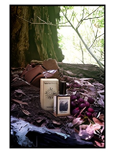 Black Forest Solstice Scents — аромат