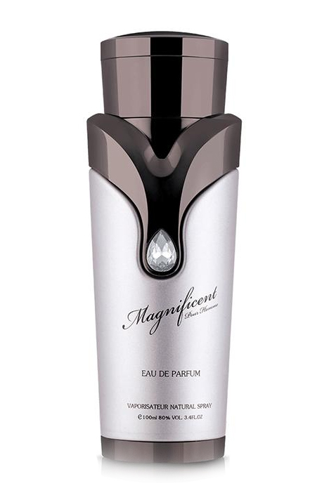 Magnificent Pour Homme Armaf — аромат