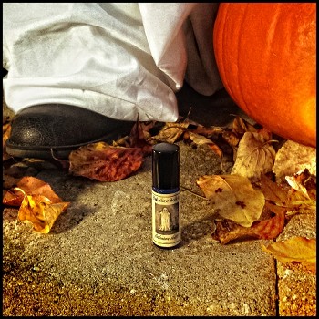 Halloween Night Solstice Scents — аромат