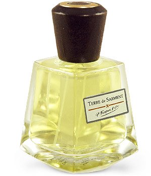 Terre de Sarment Frapin — аромат