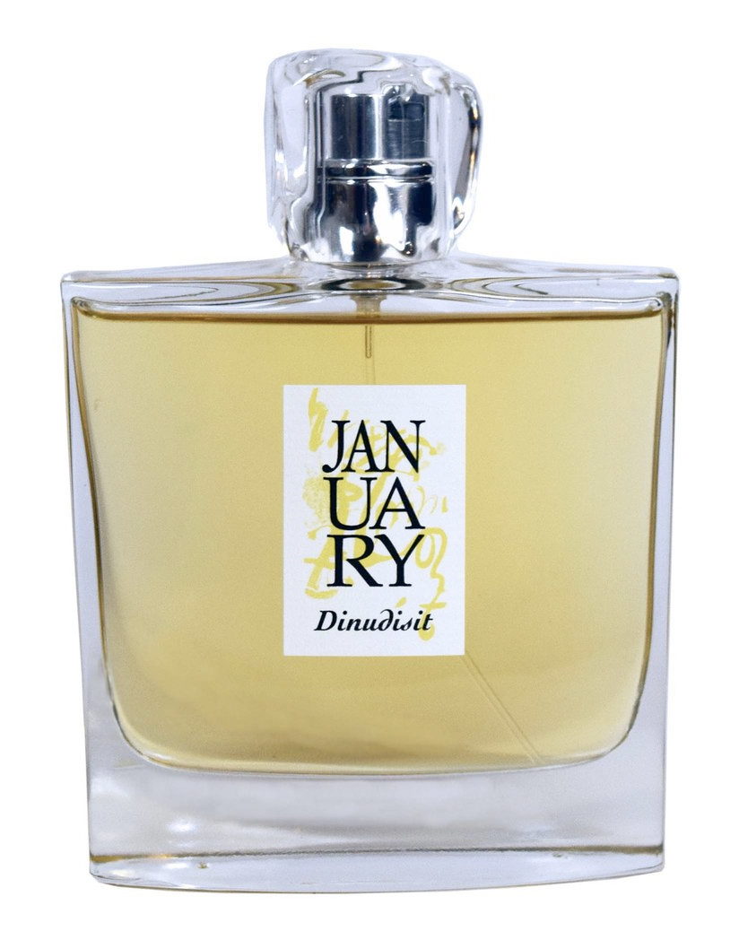 Dinudisit January Scent Project — аромат
