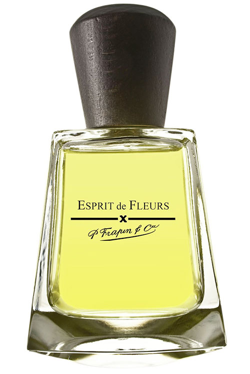 Esprit de Fleurs Frapin — аромат