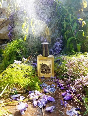 After the Rain Solstice Scents — аромат