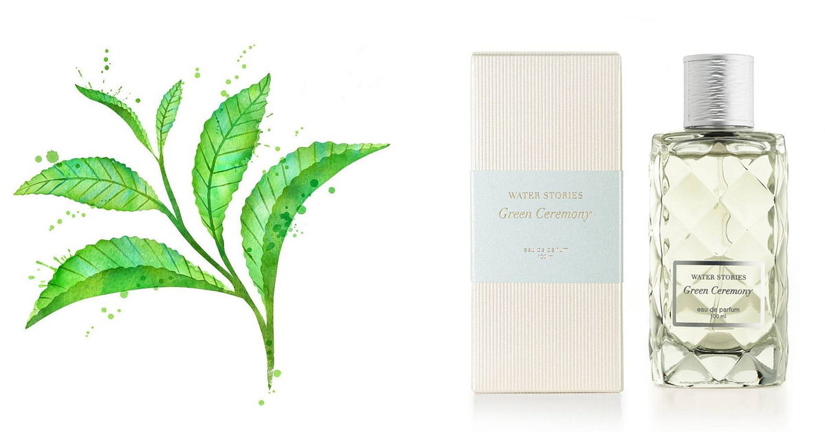 Green Ceremony Water Stories — аромат
