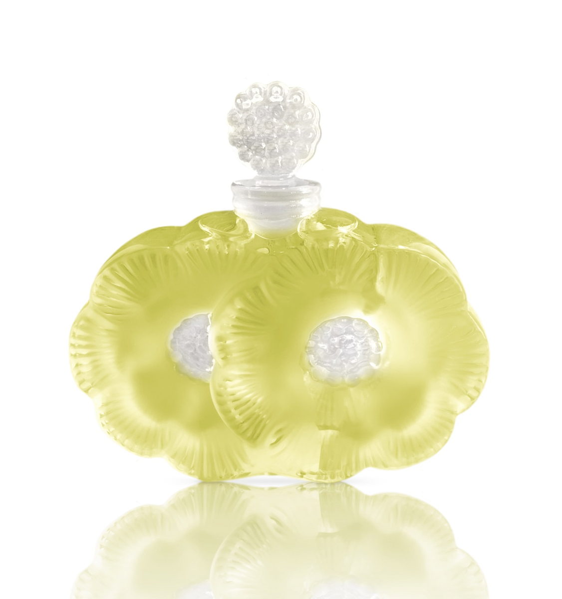 Paradis Provence Shalini — аромат