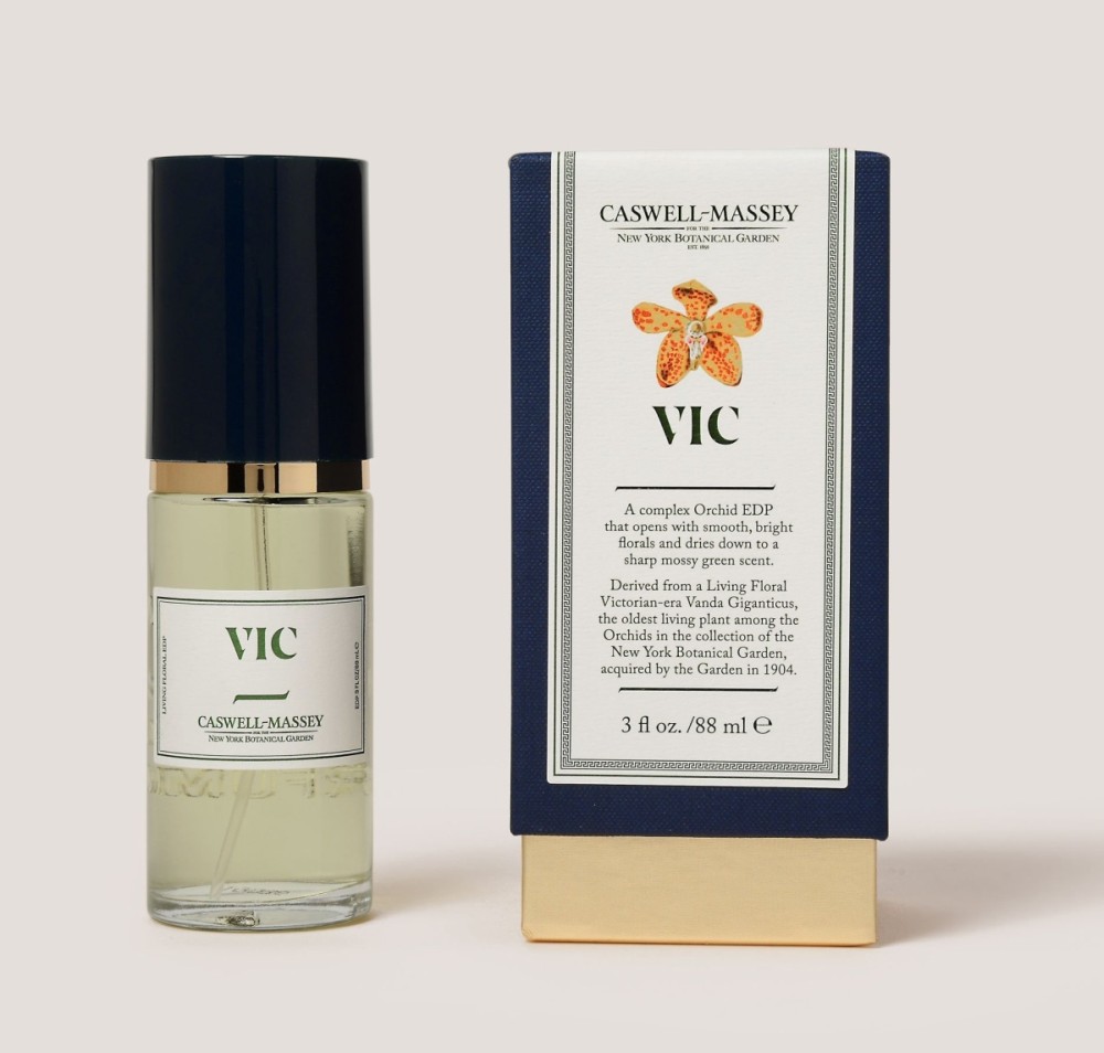 VIC Orchid Caswell Massey — аромат