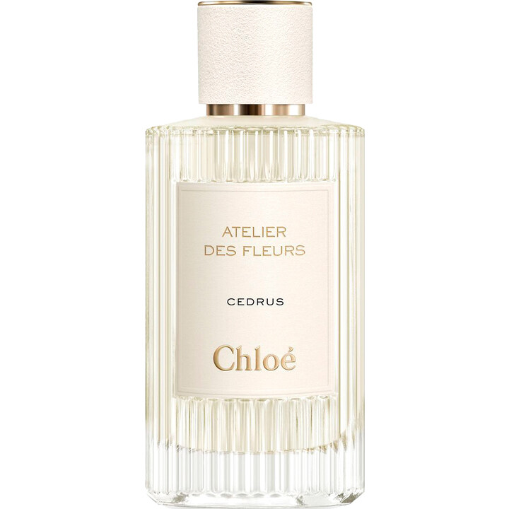 Cedrus Chloé — аромат