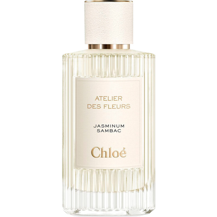 Jasminum Sambac Chloé — аромат