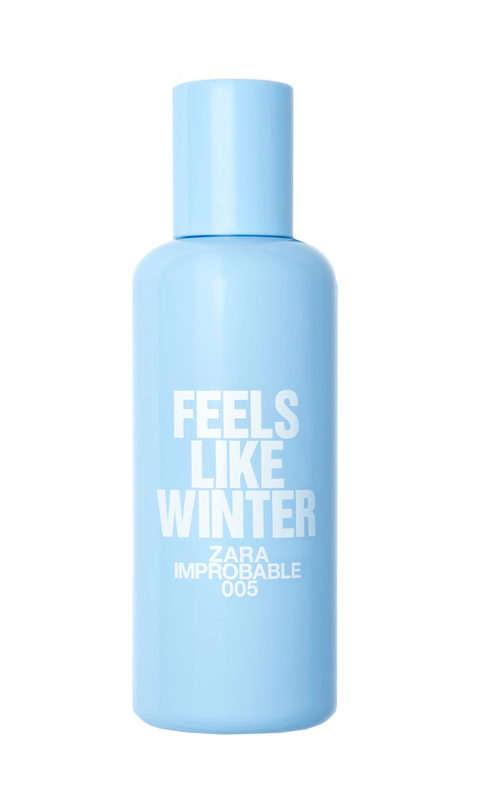 005 Feels Like Winter Zara