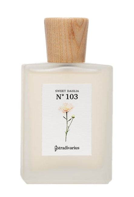 N° 103 Sweet Dahlia Stradivarius — аромат