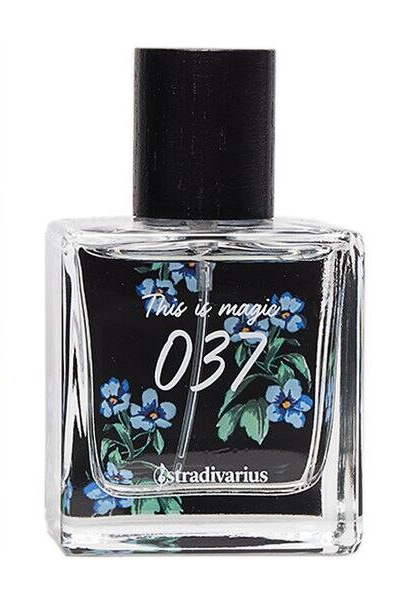 037 This Is Magic Stradivarius — аромат