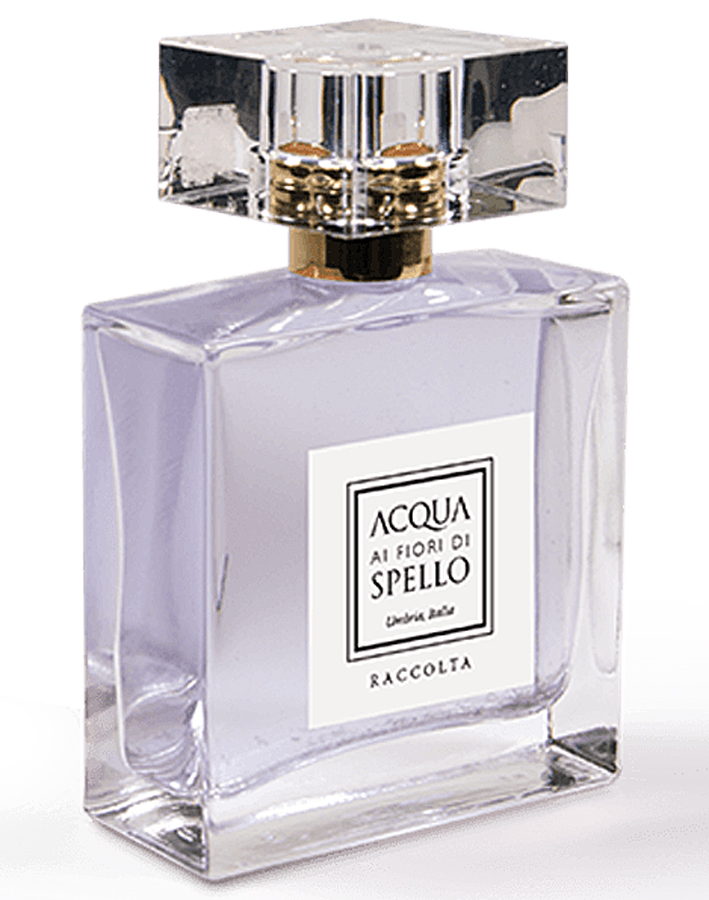 Raccolta Acqua ai Fiori di Spello — аромат