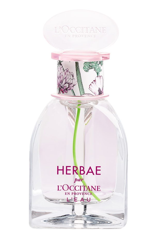 Herbae L'Eau L'Occitane en Provence — аромат