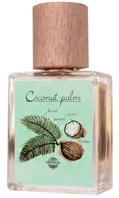 Coconut Palm Sucreabeille