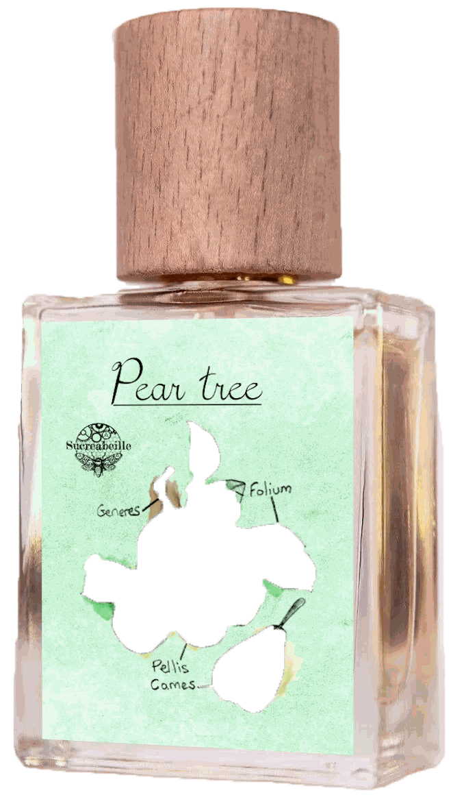 Pear Tree Sucreabeille — аромат
