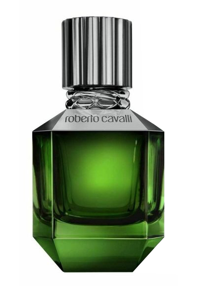 Paradise Found For Men Roberto Cavalli — аромат