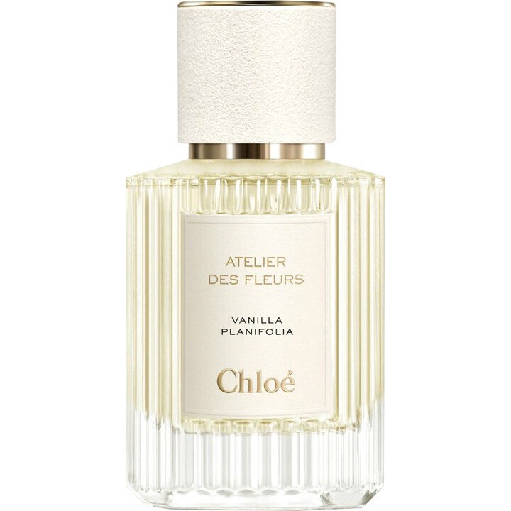 Vanilla Planifolia Chloé — аромат