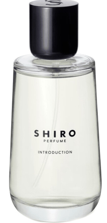 Introduction Shiro — аромат