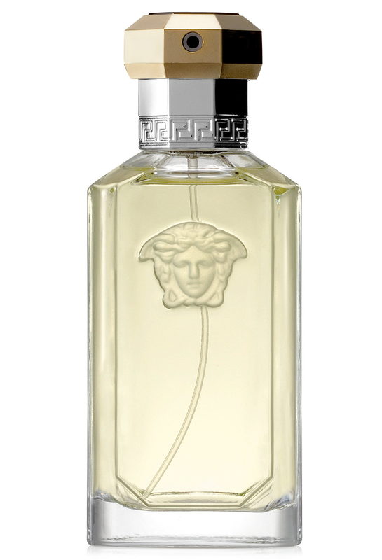 Dreamer The Original Edition Versace — аромат