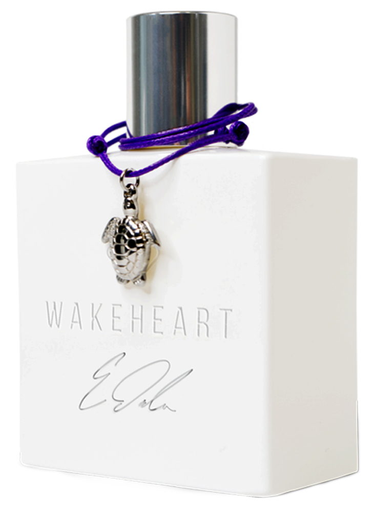 Ethan Dolan Signature Scent Wakeheart — аромат