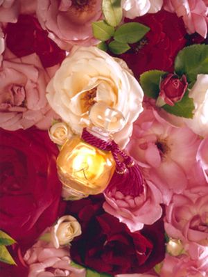 La Rose Legere Les Parfums de Rosine — аромат