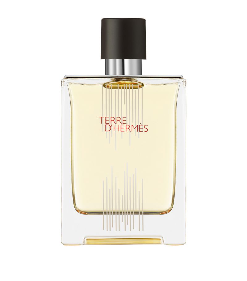 Terre d'Hermes Flacon H 2021 Eau de Toilette Hermès — аромат