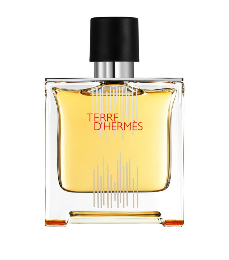 Terre d'Hermes Flacon H 2021 Parfum Hermès — аромат