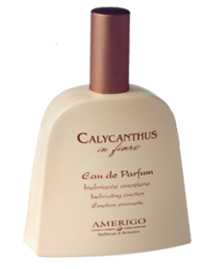 Calycanthus In Fiore Amerigo — аромат