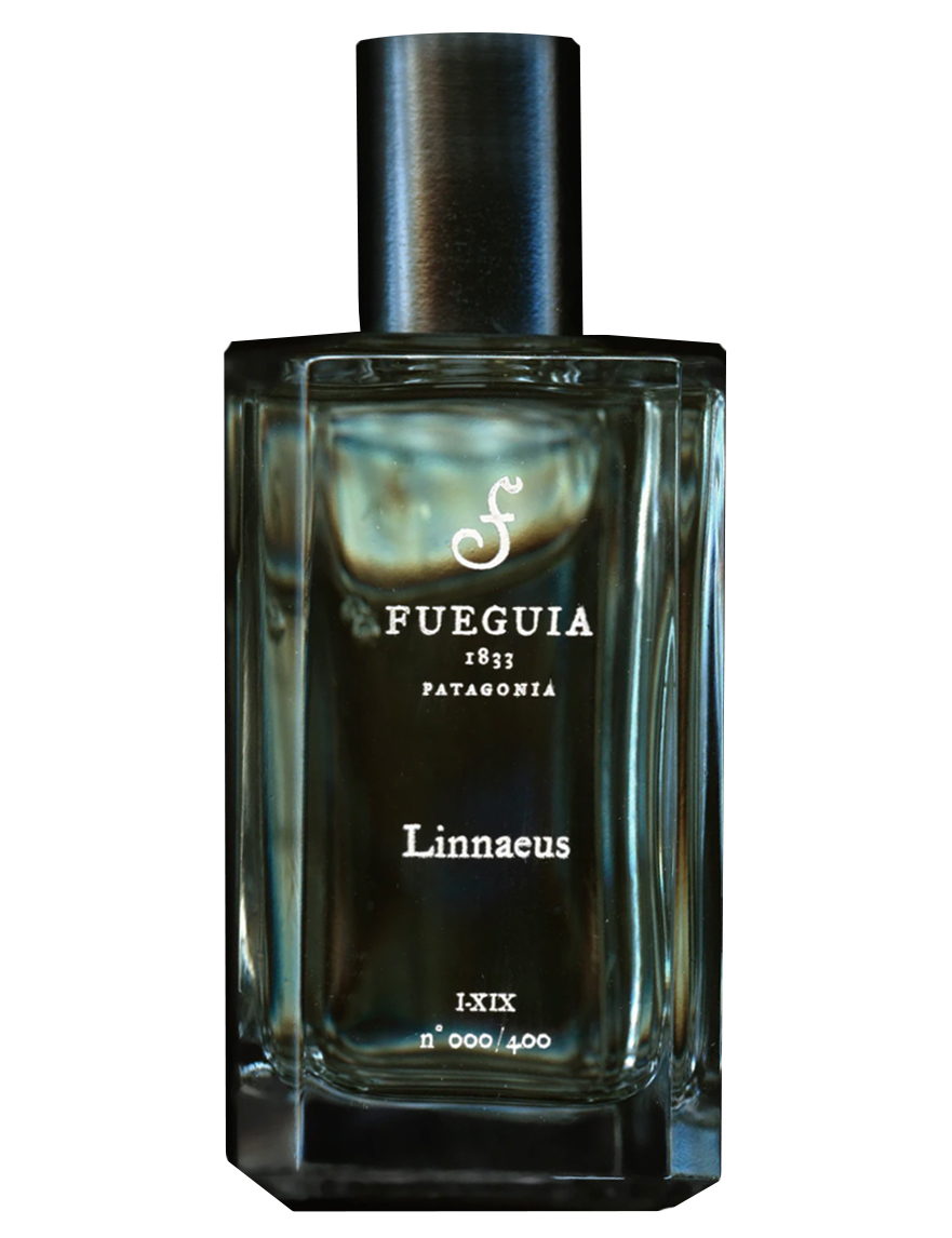 Linnaeus Fueguia 1833 — аромат
