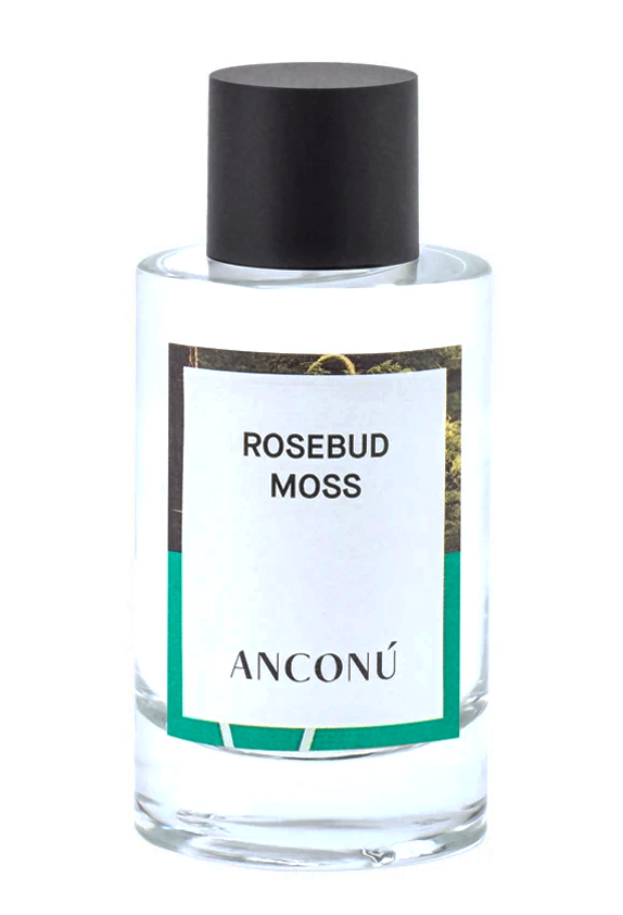 Rosebud Moss Anconu — аромат