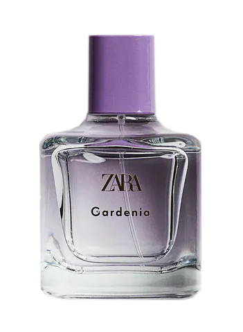 Gardenia Zara — аромат